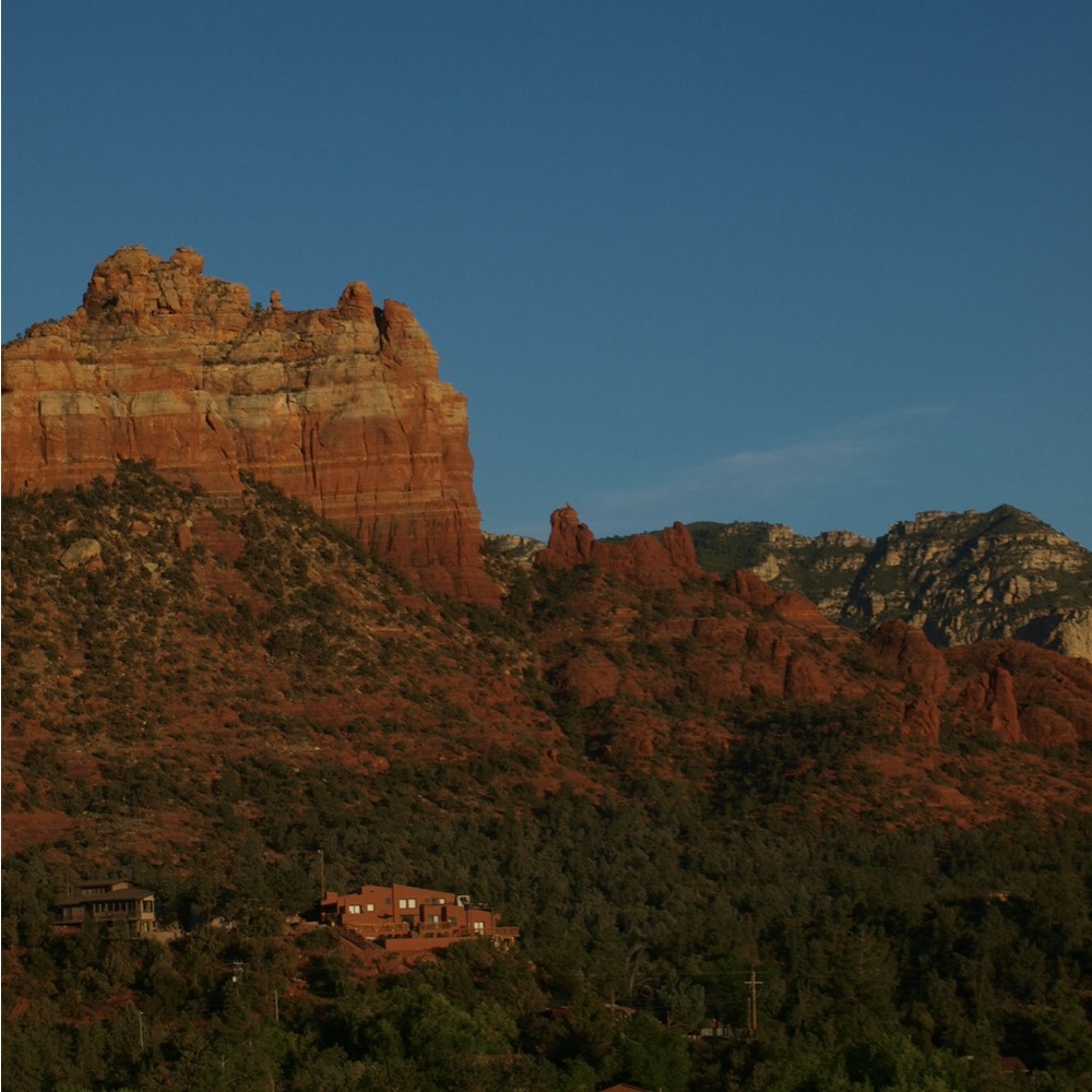 Meet your Posher, Livia